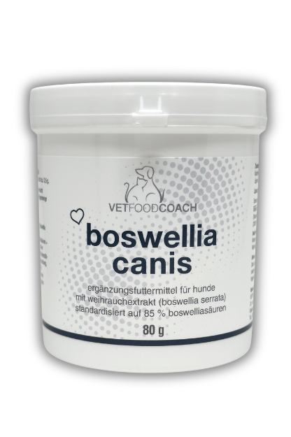 Boswellia canis Weihrauchextrakt