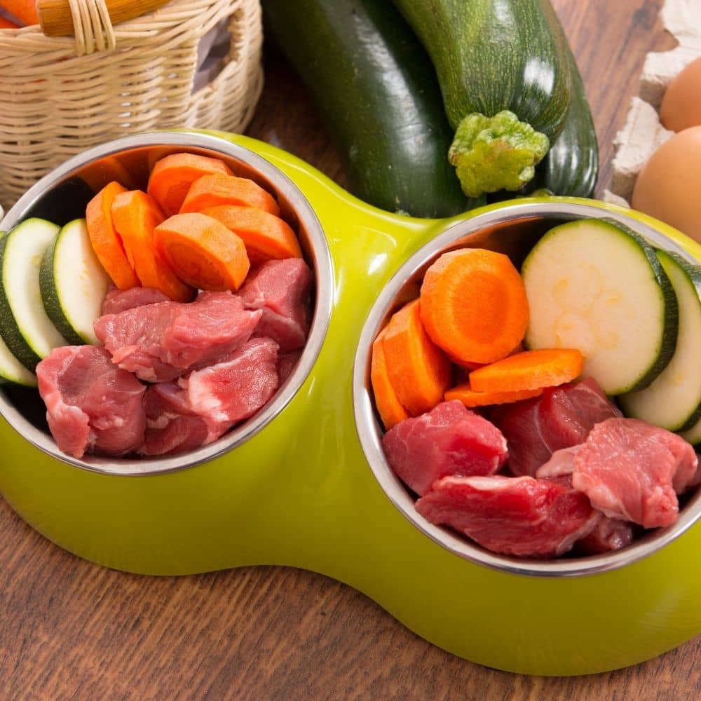 Frischfutter Hund napf futter hund frisch