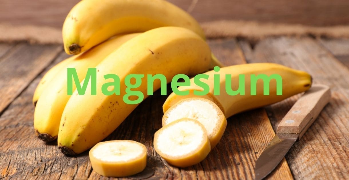 hundefutter barf bananen magnesium