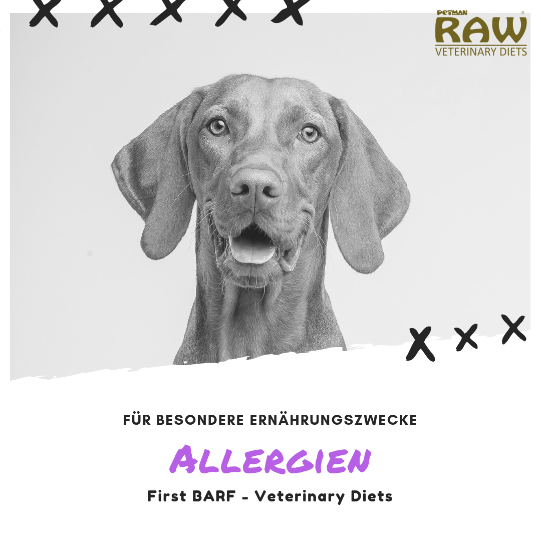 Raw Veterinary Diet 'Hypoallergenic Ente' 10x450g